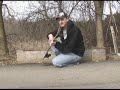 How to No Comply Varial Heelflip How to No Comply Varial Heelflip