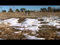 Crop Rotation with No-Till Production