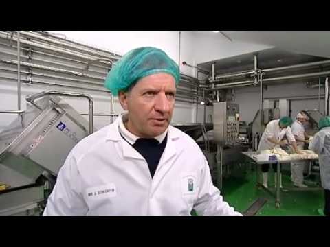  Jody Scheckters mozzarella mission