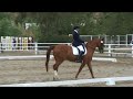 Romeo & Linda Barone, CDS Annual Chapter Show