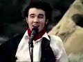 Jonas Brothers Tribute
