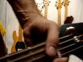 MusicMan Bass Guitars