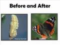 PowerPoint Extreme Makeover