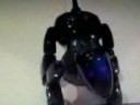 New Pet Robot Dog very Cool Meet Korean Genibo