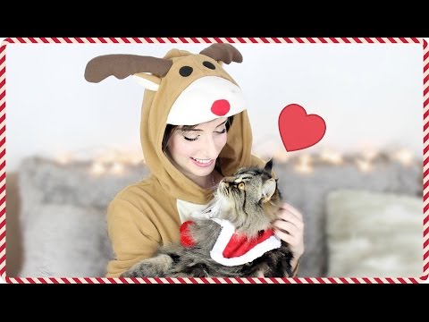 IDEES CADEAUX de NOEL POUR CHATS + DIY ! Luna s'est faite sexy pour vous !