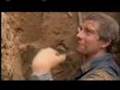 Man-vs-Wild-Porcupin