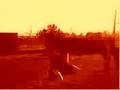 videos de tambo 2.0