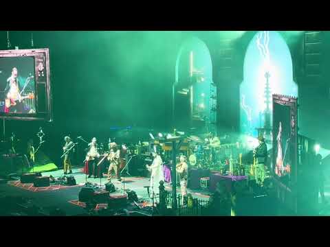 Alive live – I am Here. I am Now.