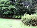 airsoft with Suppressor airsoft with Suppressor