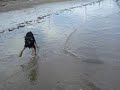 Pordo na Praia