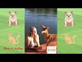 The Independent Dog - Best Amazing Pets and Cute Animals Funny Moments #51 of 2020 - Moments4Pets