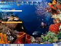 Ms Plus Themes Work On Reactos Now Part 2