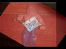 WWE Action Figures