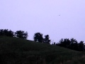 とんび先生の動画