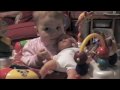 Harper playing with her baby & clapping