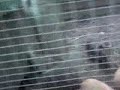 MOV00080.MP4