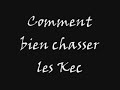 Comment bien chasser les Kecleons ?