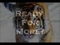 No-Limits-Atigeroffi