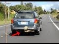 UFO Sighting Alien Creature Hides Under Moving Car! Is This An Alien Carjack? Controversial Footage!