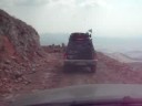 COWS BLOCK OUR ROUTE ON MOUNT OLYMPUS