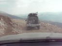 COWS BLOCK OUR ROUTE ON MOUNT OLYMPUS