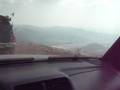 COWS BLOCK OUR ROUTE ON MOUNT OLYMPUS