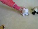 Webkinz ExtravaGANZa Items