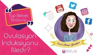 Seval Taşdemir-37