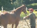 DOMANDO MARIETTA WINNER