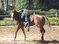 DOMANDO MARIETTA WINNER