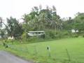 Fiji 2006