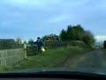 Herding 1