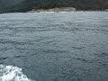 Ilha Grande Golfinhos5