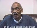 Remembering Gandhi: Living Beings