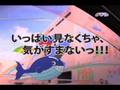 リビングフェスティバル