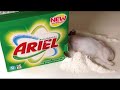 Details of the International Boycott of P&G products