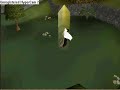 Thumbnail #3
