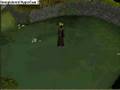 skill capes