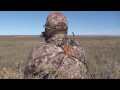 Coyote Hunting Triple - Predator Hunting - Bucking The Odds Video 21