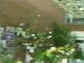 Fantasma Bajo las Flores.wmv
