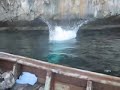 Cliff Jumping Cliff Jumping