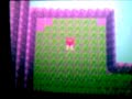 how to catch  phanpy in pokemon diamond and  pearl