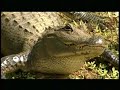 Eufaula National Wildlife Refuge
