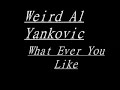 Weird Al Yankovic - Whatever You Like - Lyrics