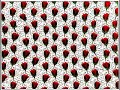 click more first! music is magic carpet ride by steppenwolf, i'm allowed to use the music. the last image is not a magic eye. the trick to these is to move your head towards the screen then move slowly backwards, take other peoples advice, if they can see it, so can you. bringing...