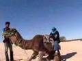 Travel to Tunisia with Jon Haggins