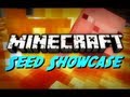 Minecraft Seeds - Fun With Pigs! (1.2.5 Seed Showcase)