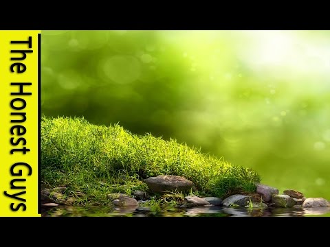 Guided Meditation - Seeking Guidance