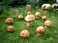 handmade4u.co.uk  Wooden fairy play  houses