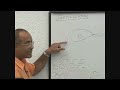 Human Fertilization 5/8 - Embryology
